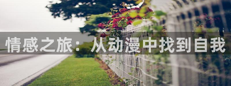 里番动漫官网：情感之旅：从动漫中找到自我