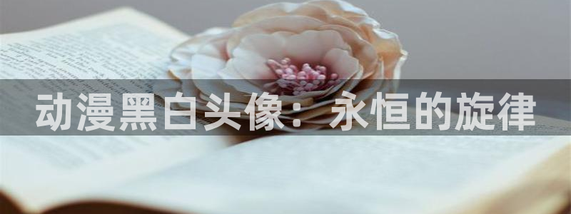 里番动漫在哪里可以看：动漫黑白头像：永恒的旋律