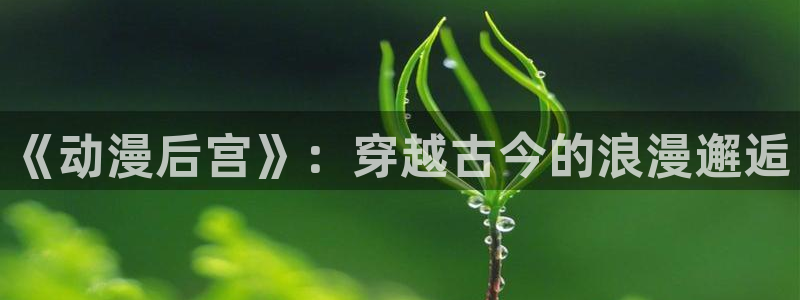 里番动漫在哪个软件：《动漫后宫》：穿越古今的浪漫邂逅