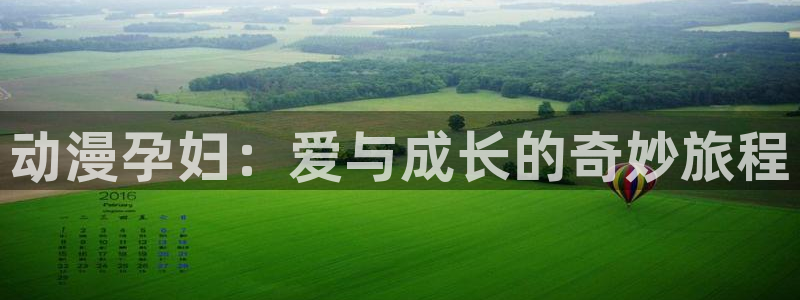 看里番动漫的软件：动漫孕妇：爱与成长的奇妙旅程