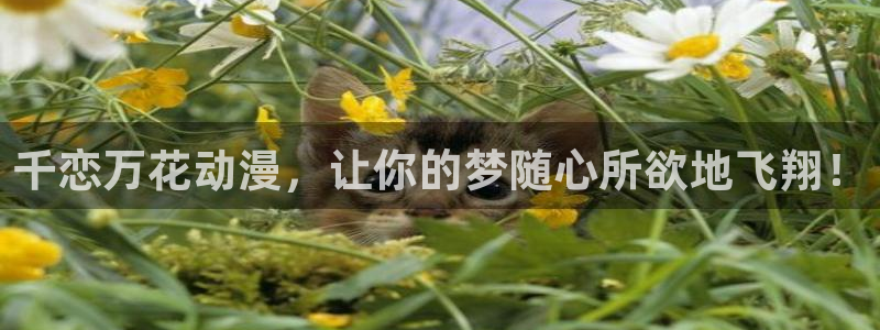里番动漫入口：千恋万花动漫，让你的梦随心所欲地飞翔！